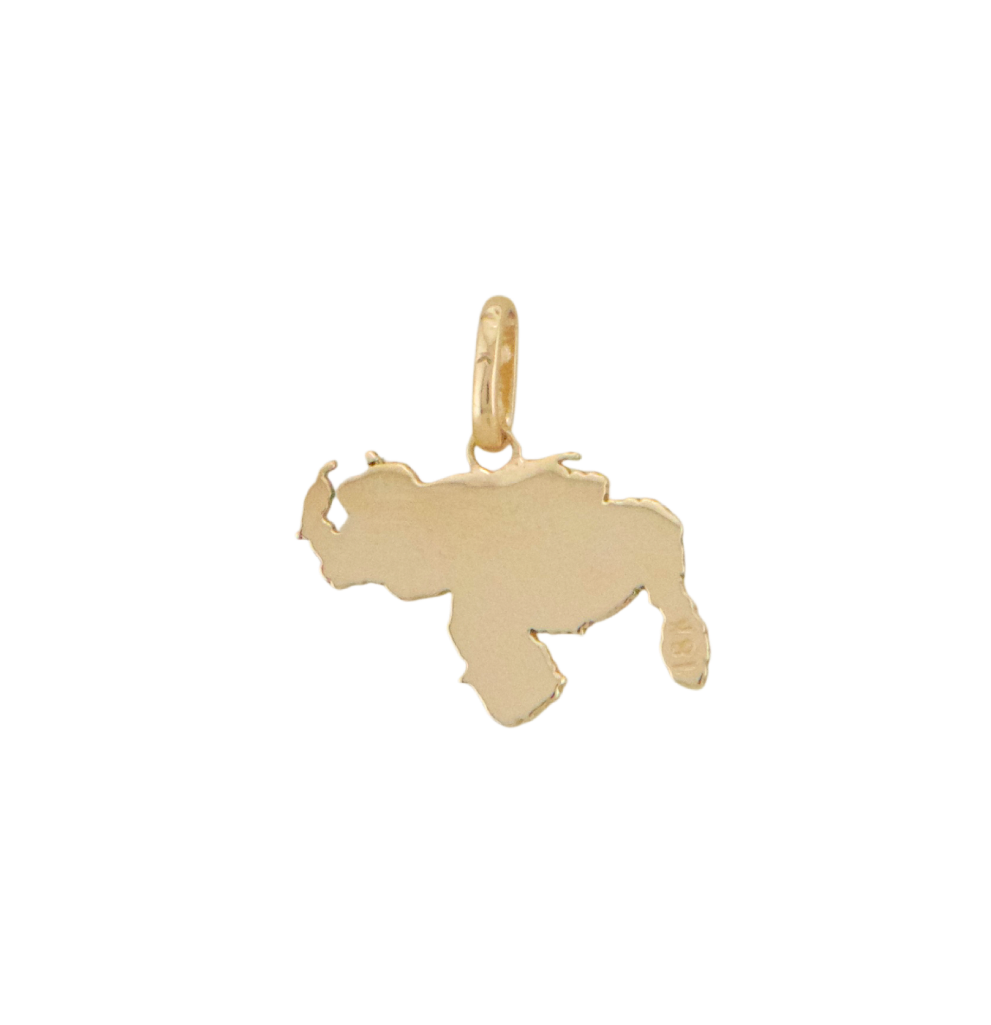 Venezuelan Map Pendant