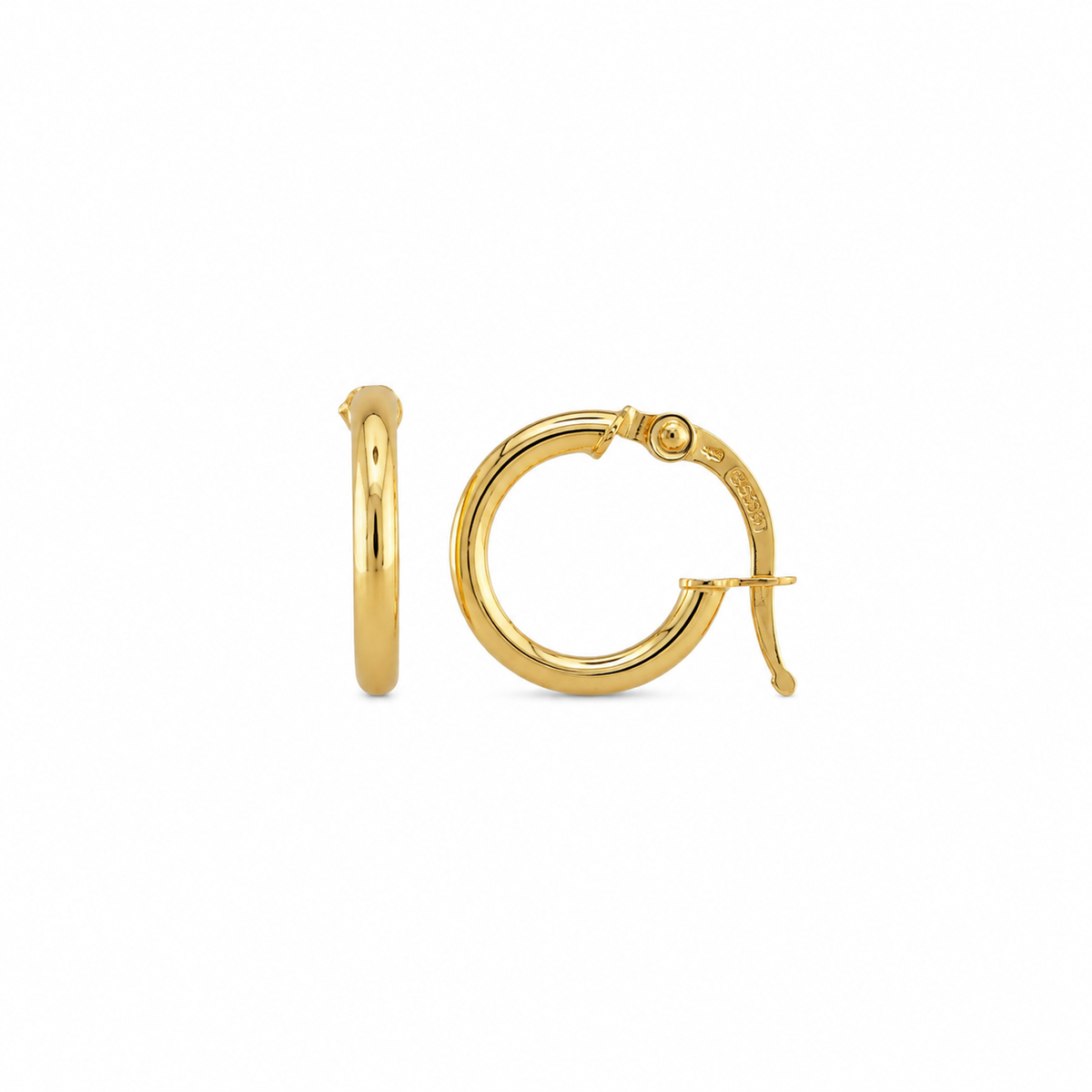 Plain Hoops Earrings