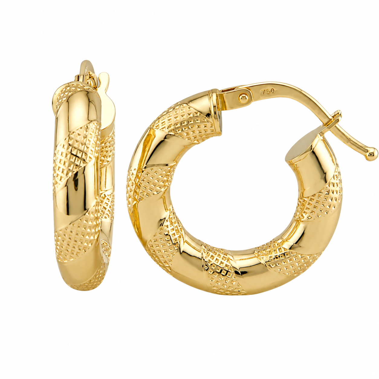 Fancy Hoops Earrings