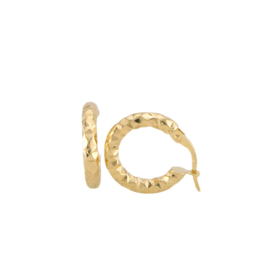 Fancy Hoops Earrings
