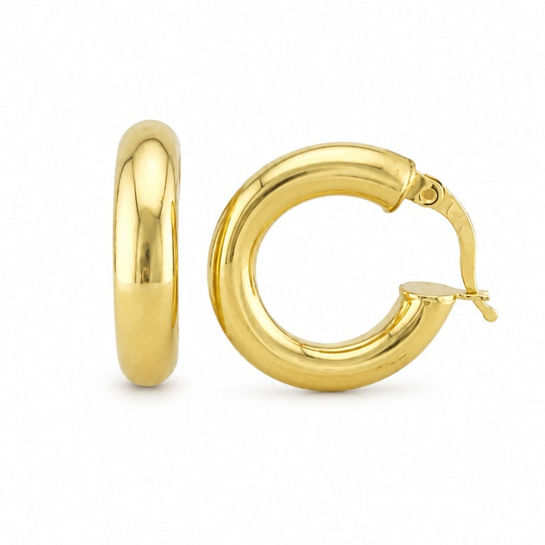 Big Hoops Earrings