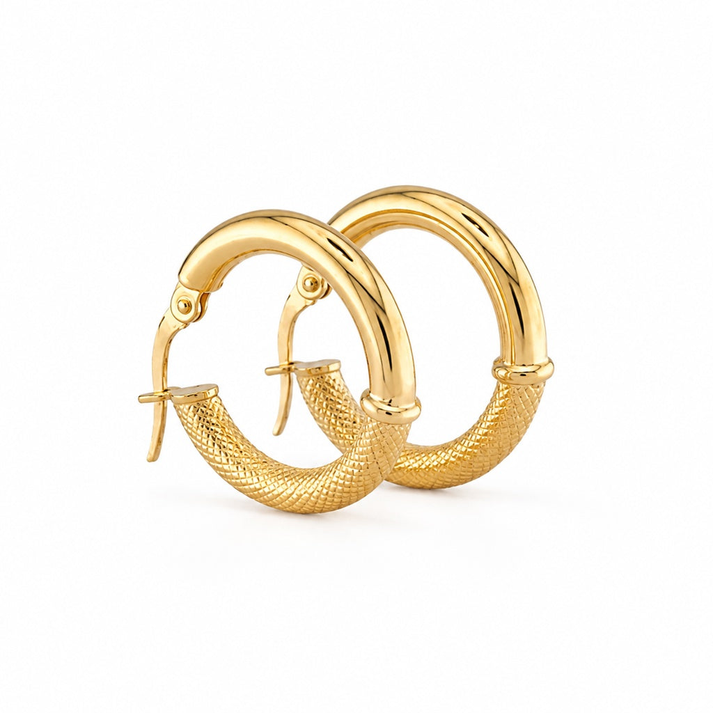 Fancy Hoops Earrings