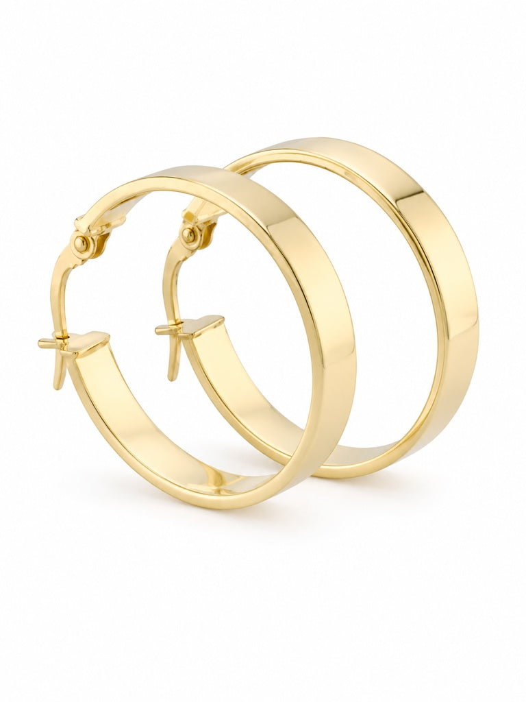 Plain Hoops Earrings