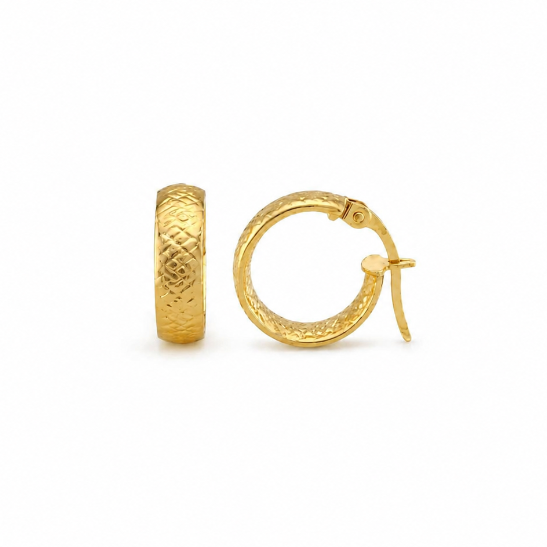 Fancy Hoops Earrings
