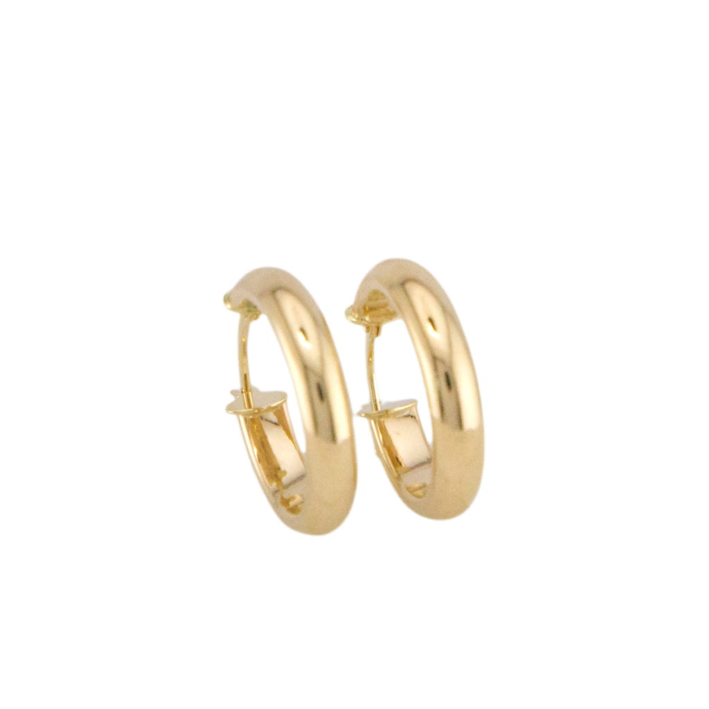 Plain Hoops Earrings