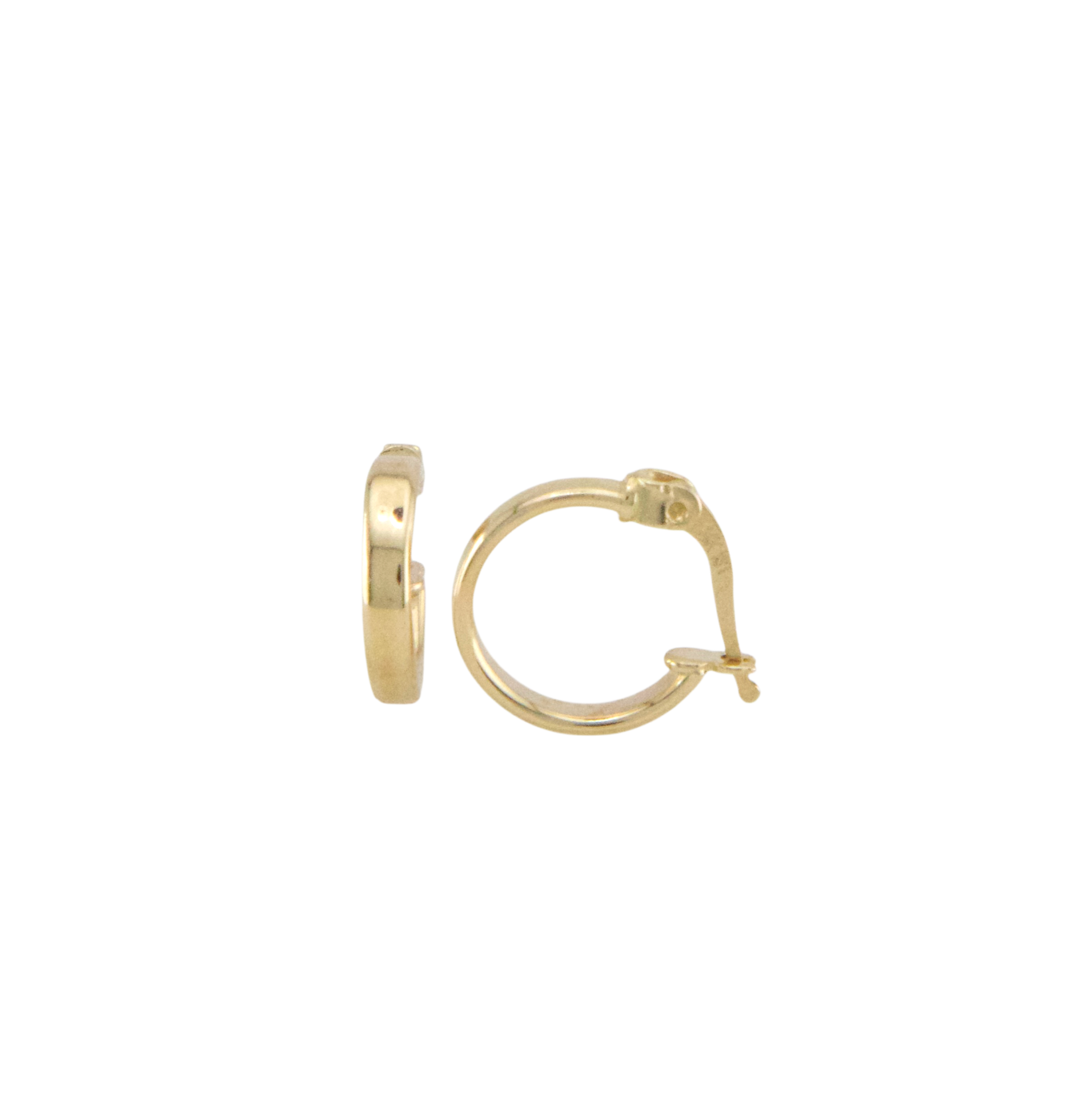 Plain Hoops Earrings
