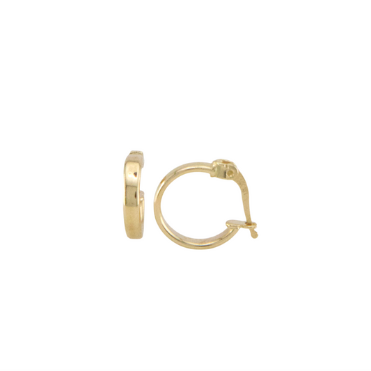 Plain Hoops Earrings