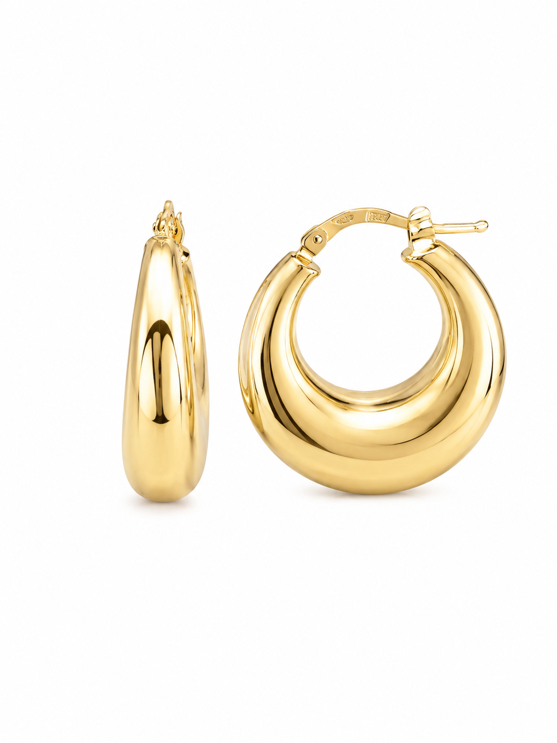 Fancy Hoops Earrings