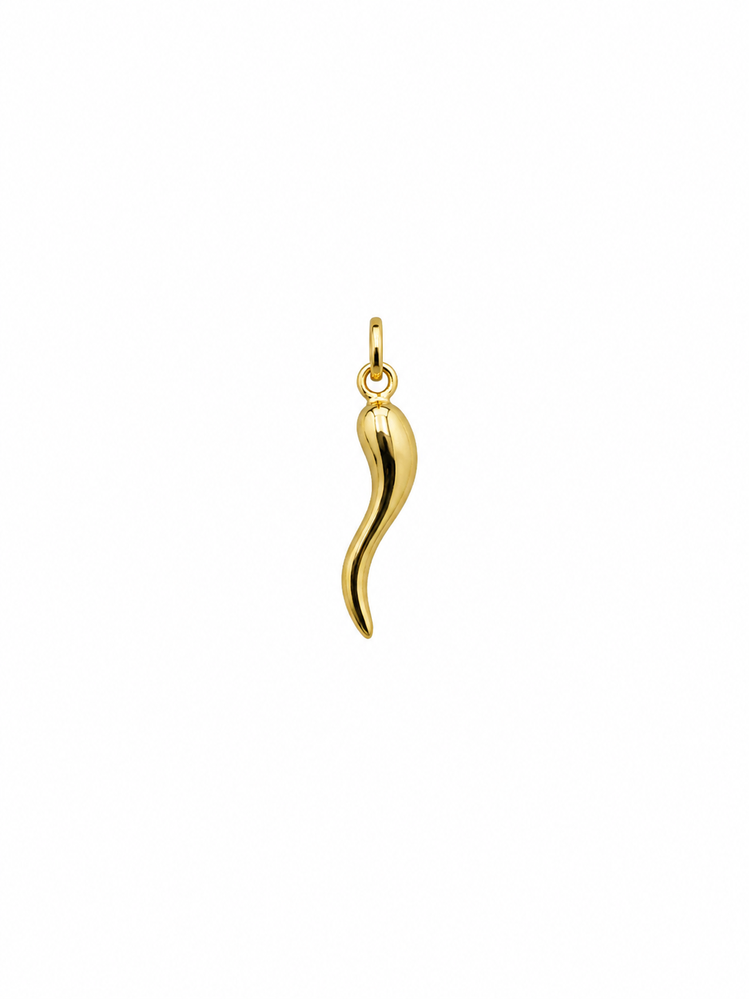 Gold Horn Pendant