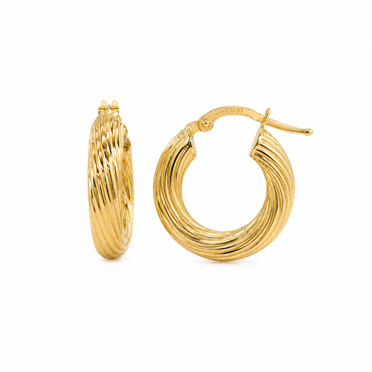 Twisted Hoops Earrings