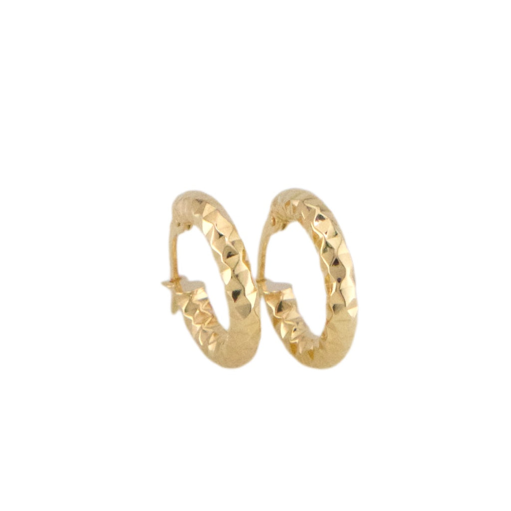 Fancy Hoops Earrings