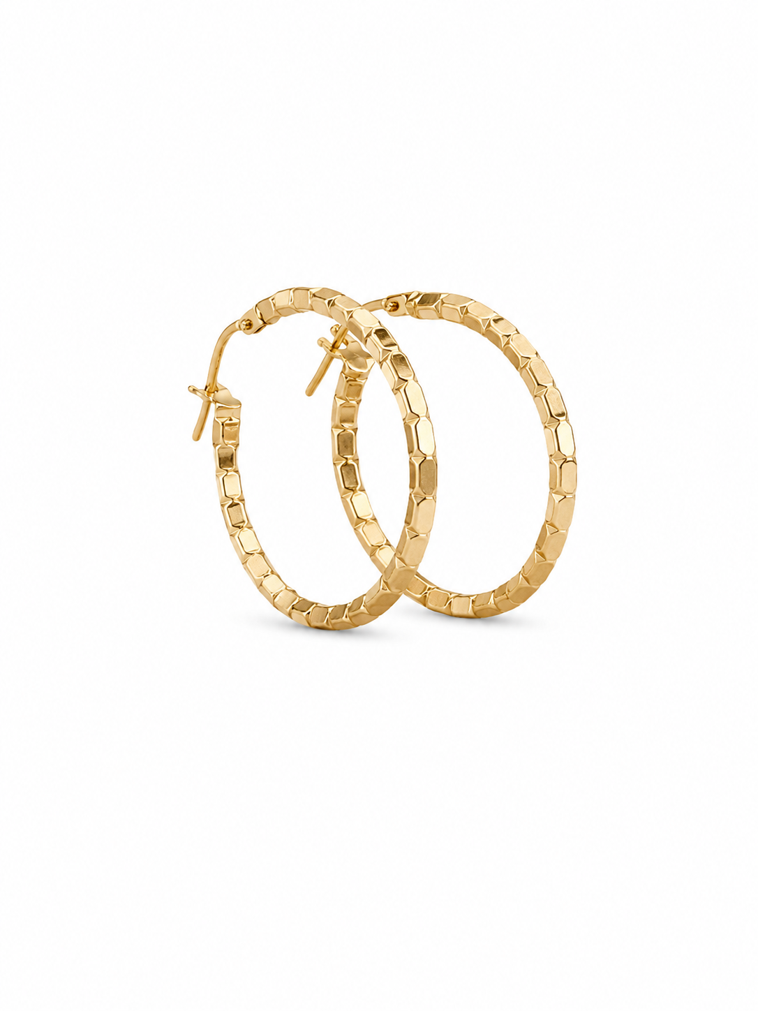 Fancy Hoops Earrings