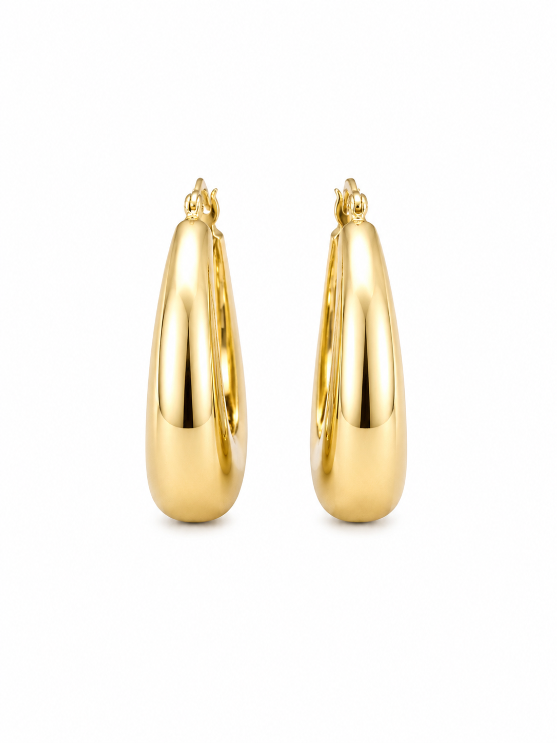 Fancy Hoops Earrings