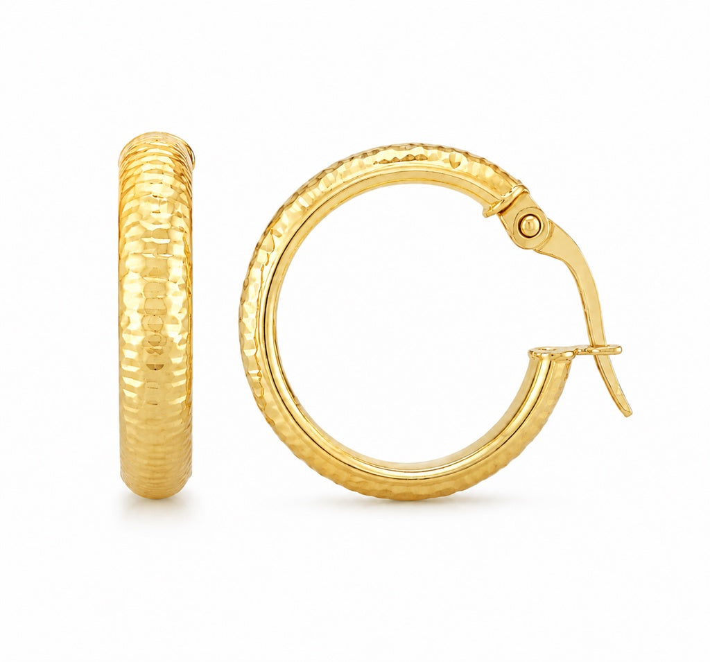 Fancy Hoops Earrings