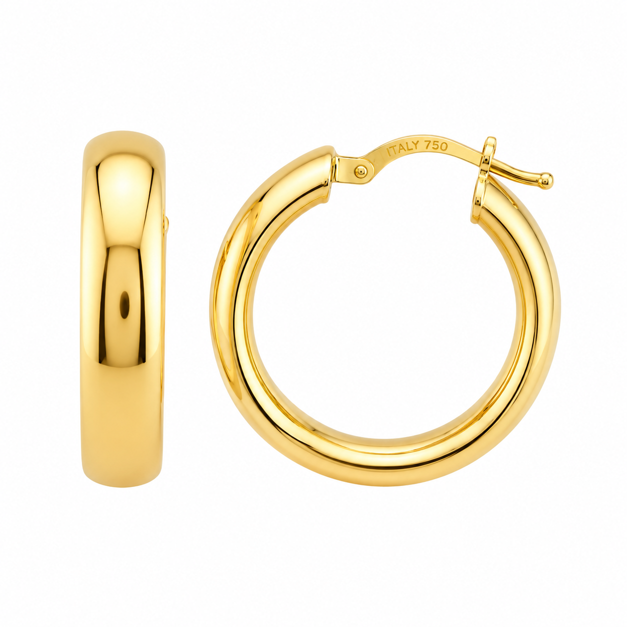 Fancy Hoops Earrings