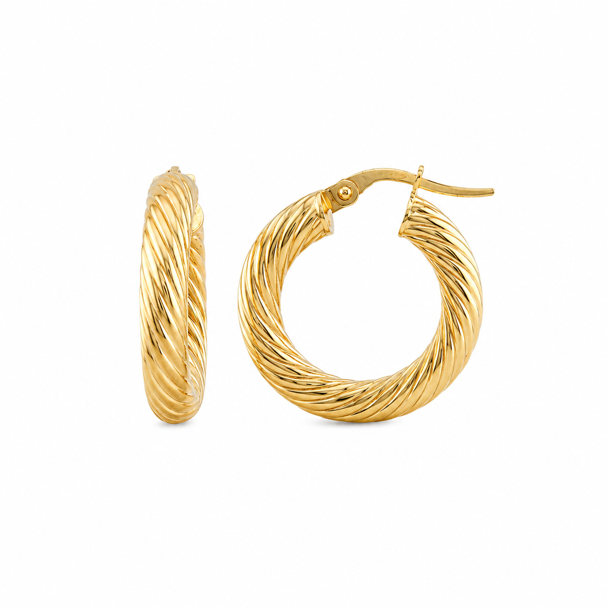 Twisted Hoops Earrings