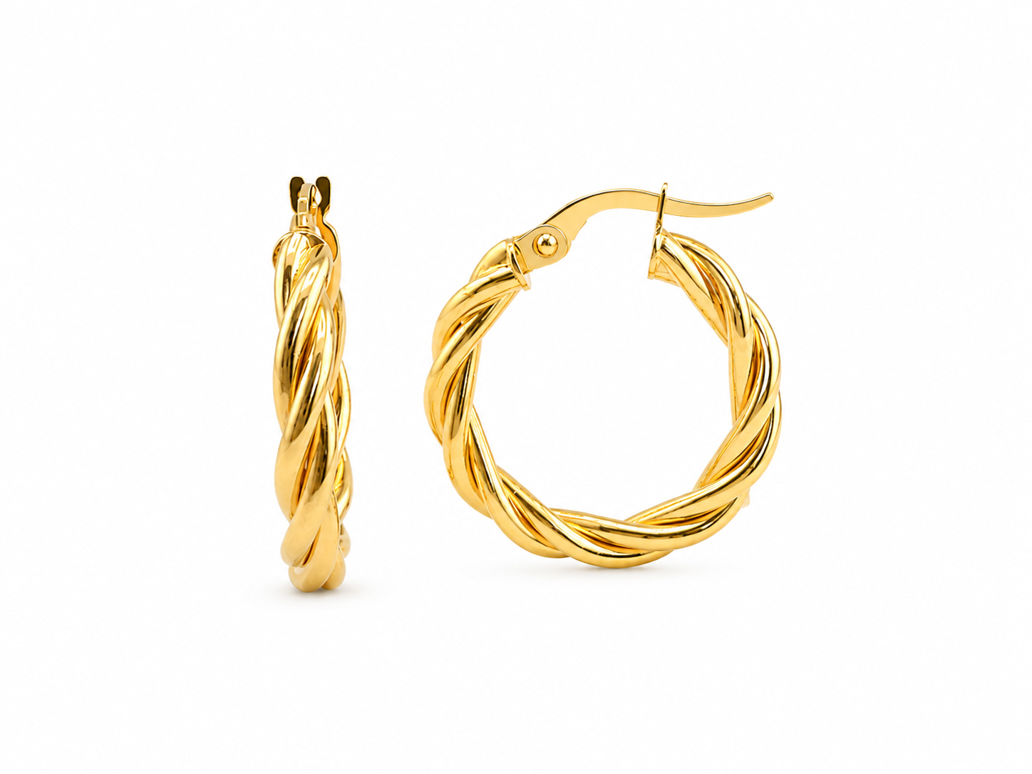 Twisted Hoops Earrings