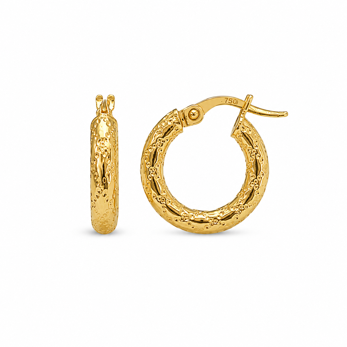 Fancy Hoops Earrings