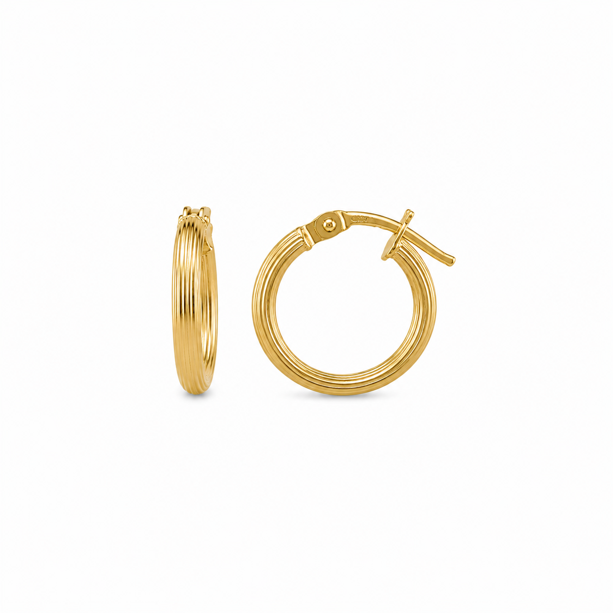 Twisted Hoops Earrings