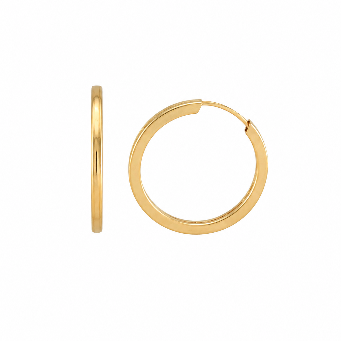 Plain Hoops Earrings