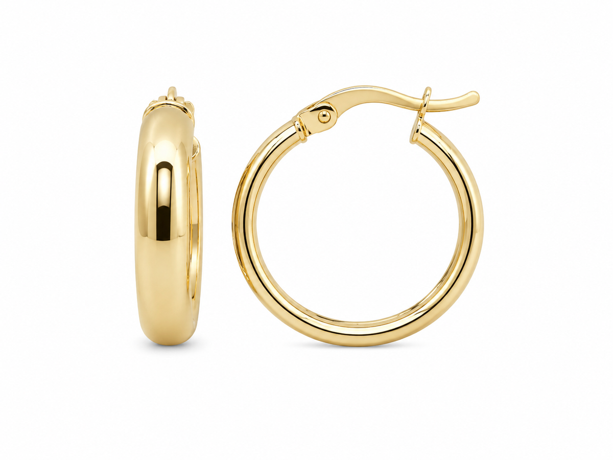 Plain Hoops Earrings