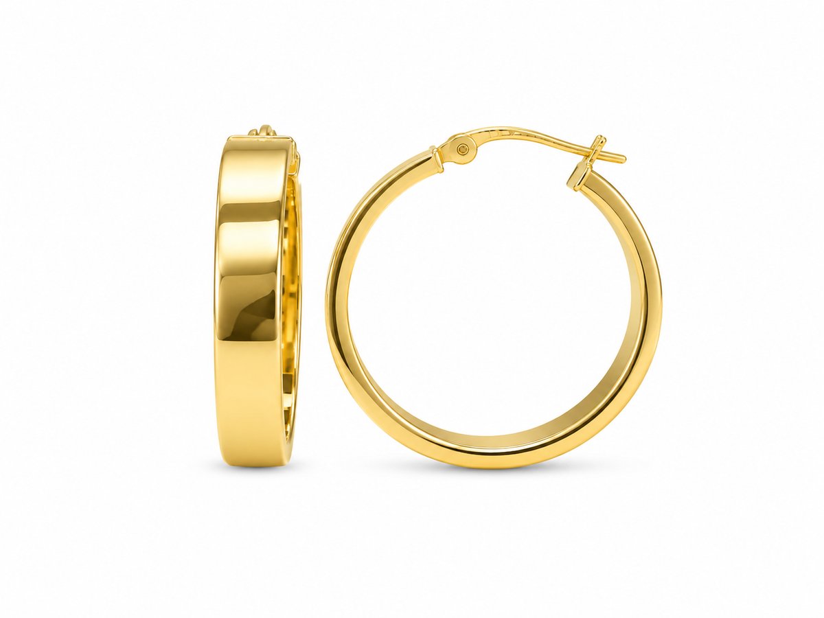 Plain Hoops Earrings