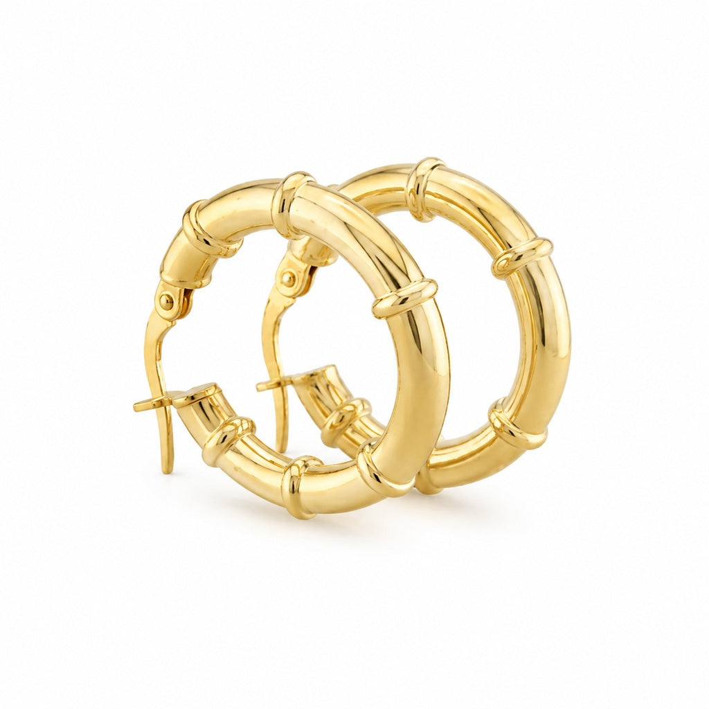 Fancy Hoops Earrings