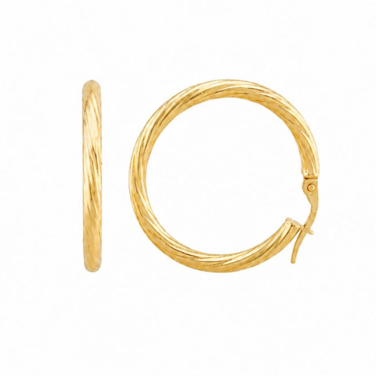 Twisted Hoops Earrings