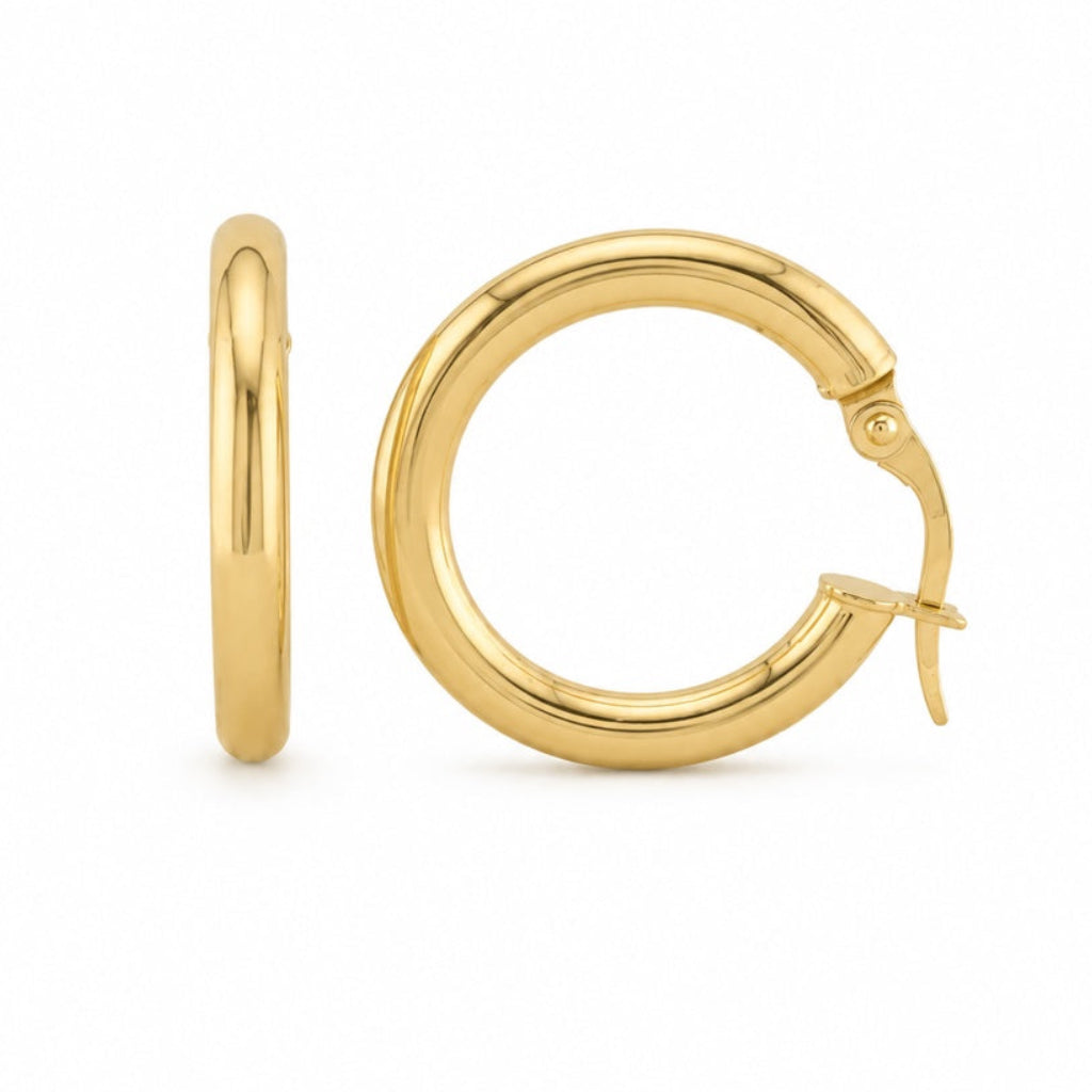 Plain Hoops Earrings