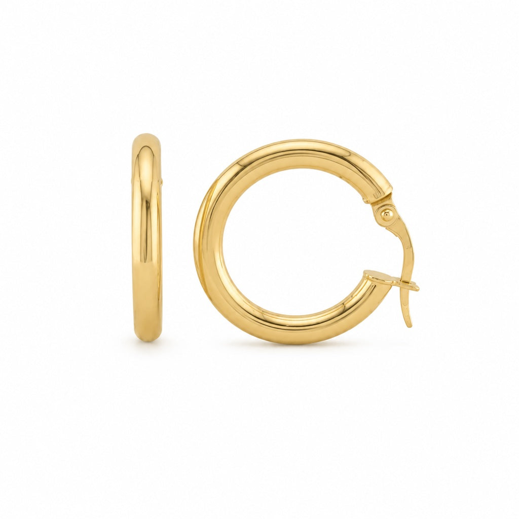 Plain Hoops Earrings