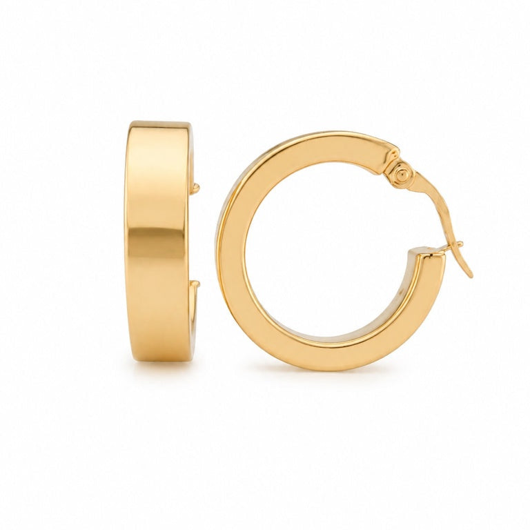 Plain Hoops Earrings