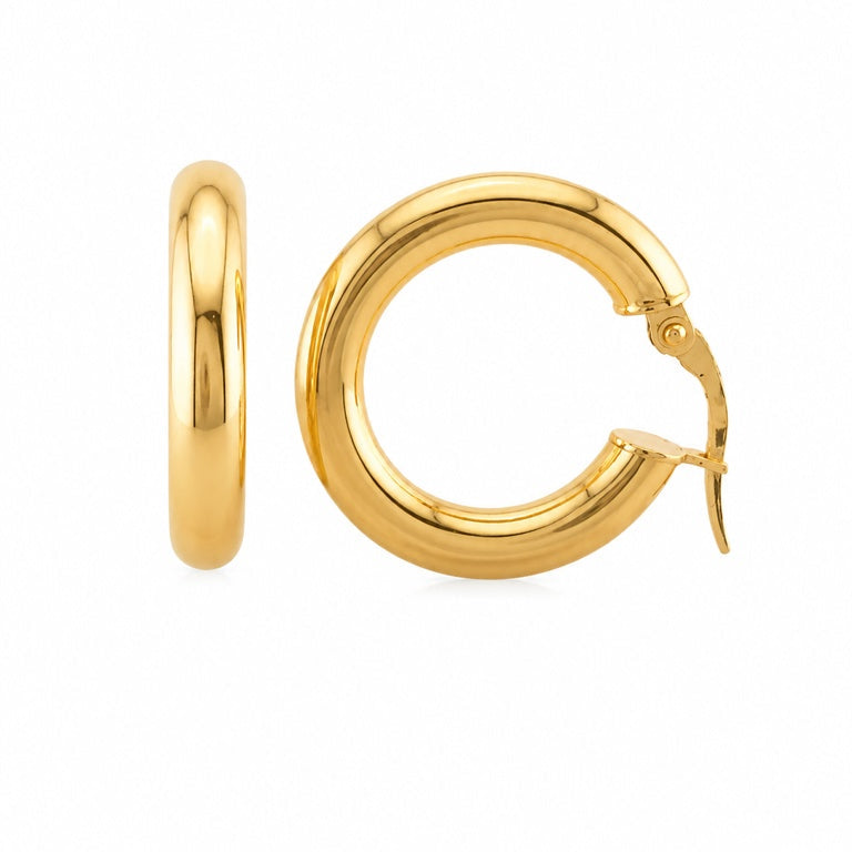 Plain Hoops Earrings