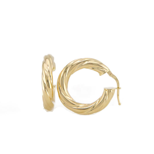 Twisted Hoops Earrings
