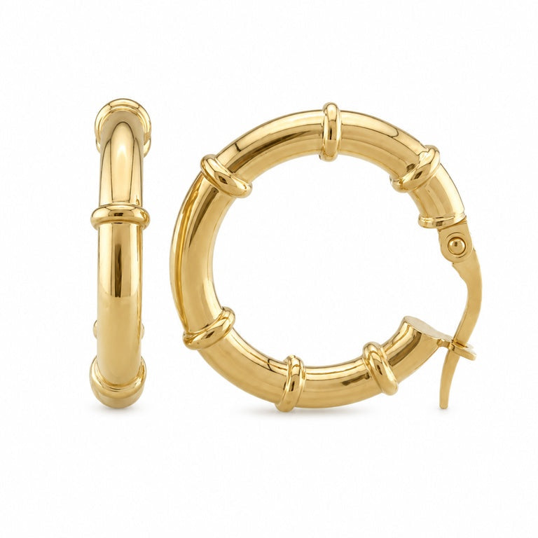 Fancy Hoops Earrings