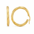 Twisted Hoops Earrings