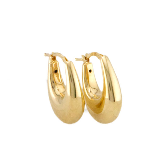 Fancy Hoops Earrings