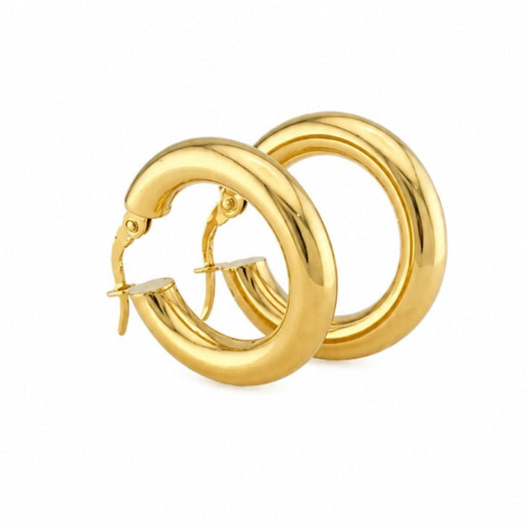 Plain Hoops Earrings