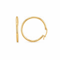 Plain Hoops Earrings