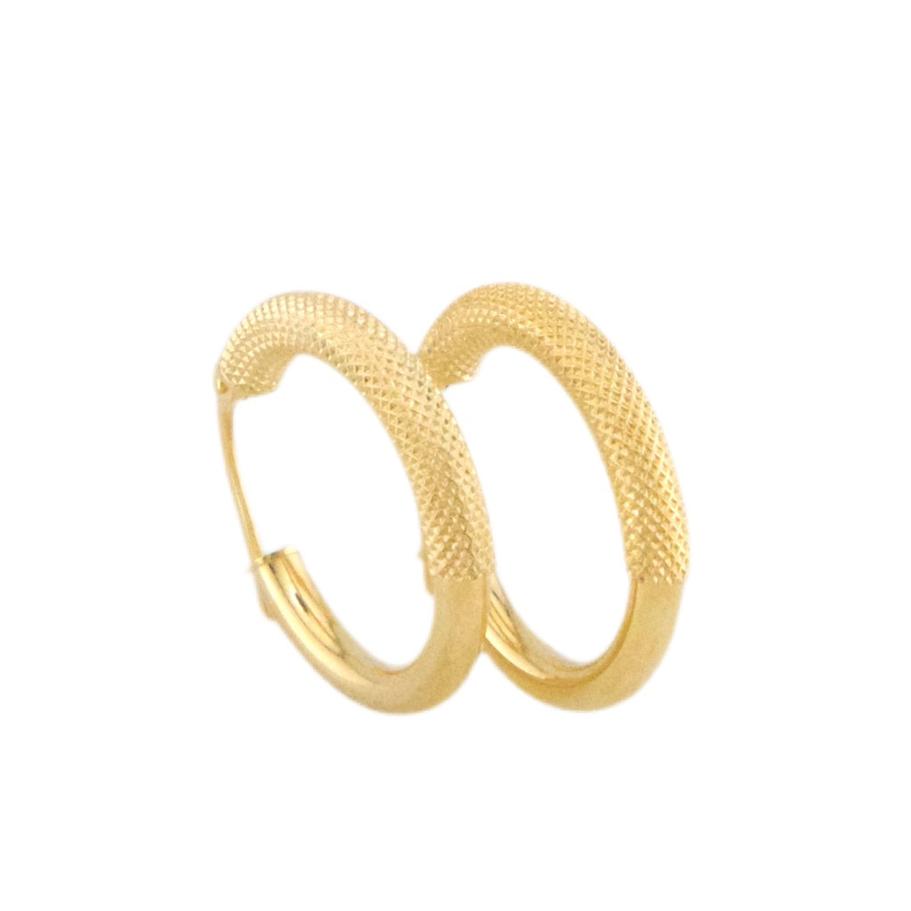 Fancy Hoops Earrings