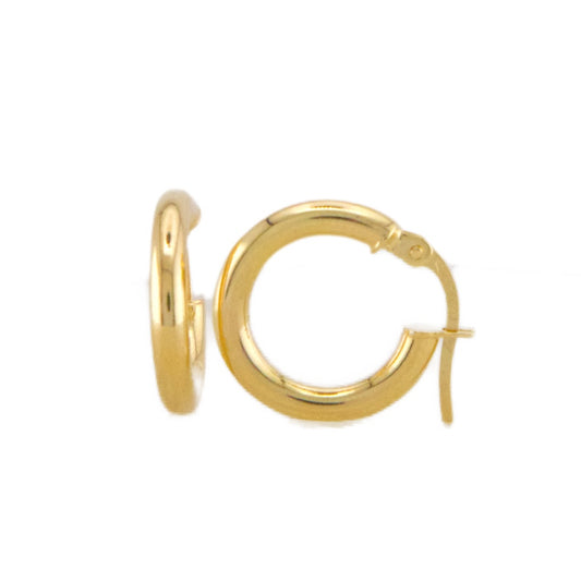 Plain Hoops Earrings