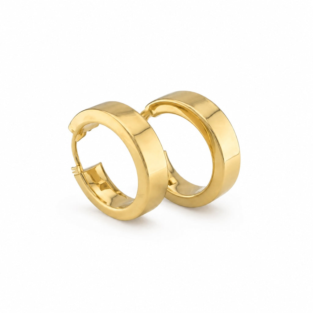 Plain Hoops Earrings
