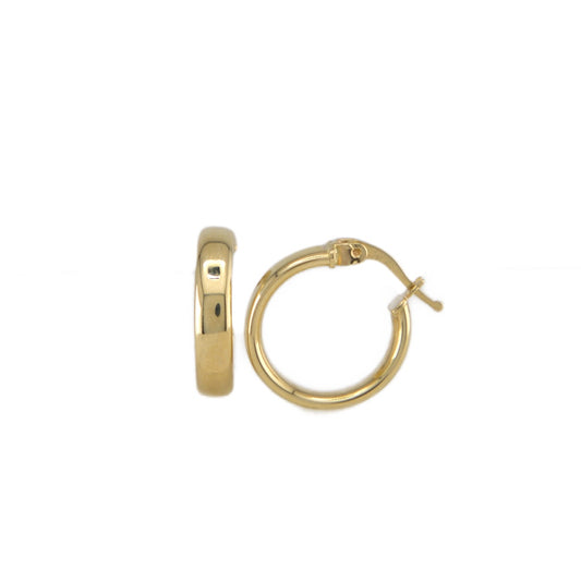 Plain Hoops Earrings