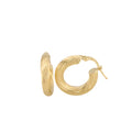 Twisted Hoops Earrings