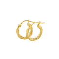 Twisted Hoops Earrings