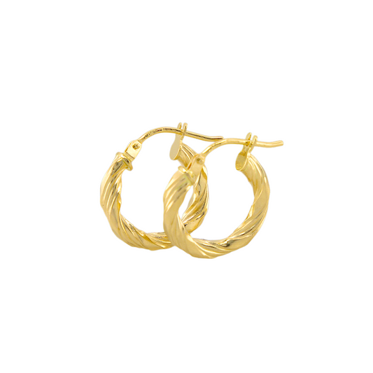 Twisted Hoops Earrings