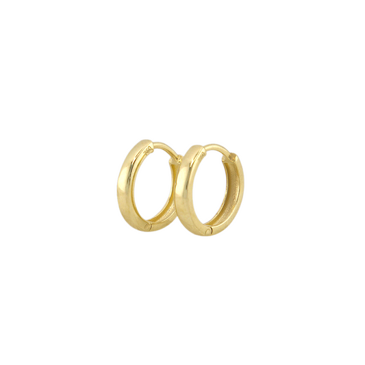 Plain Hoops Earrings