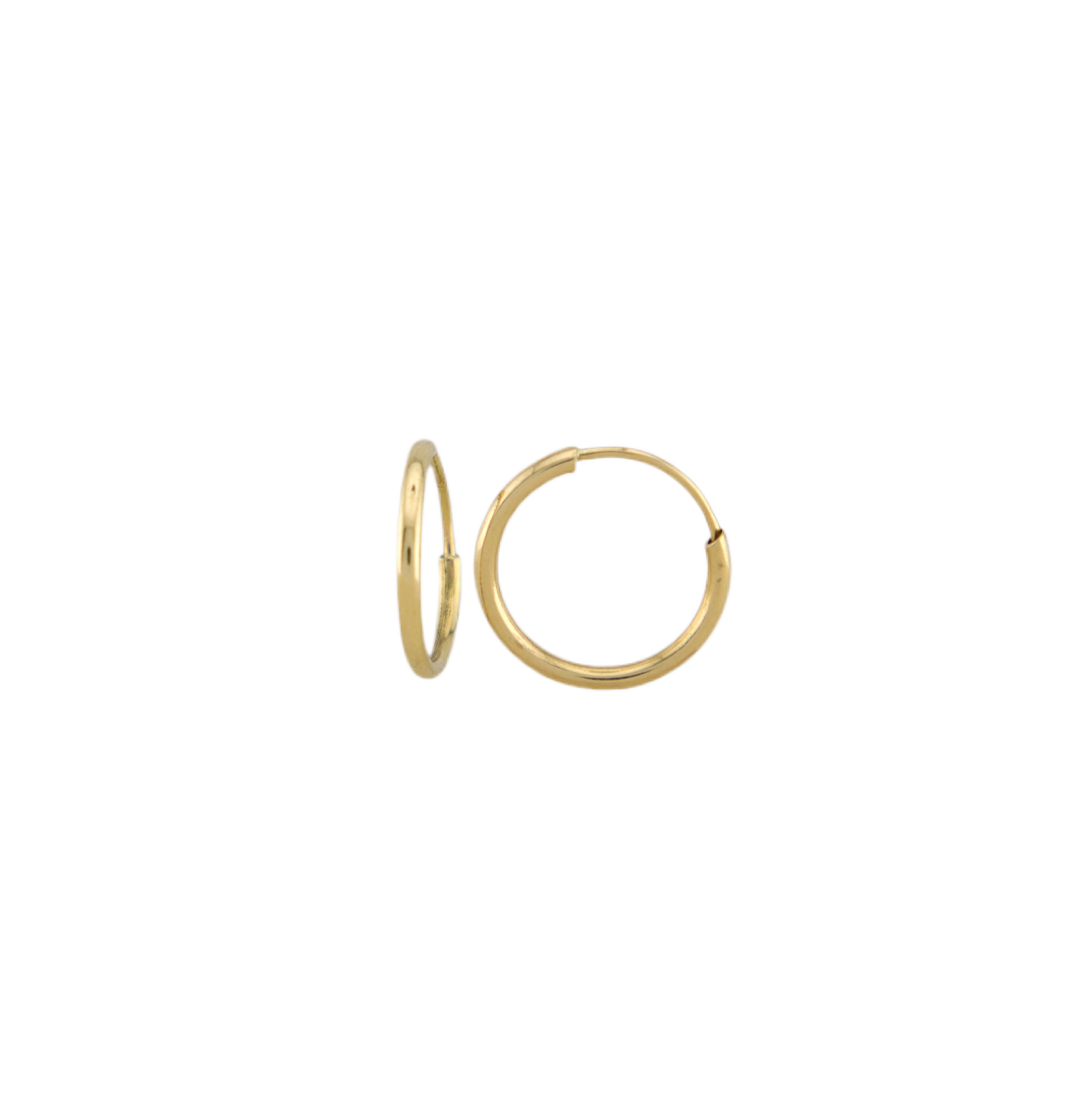 Nose Hoops