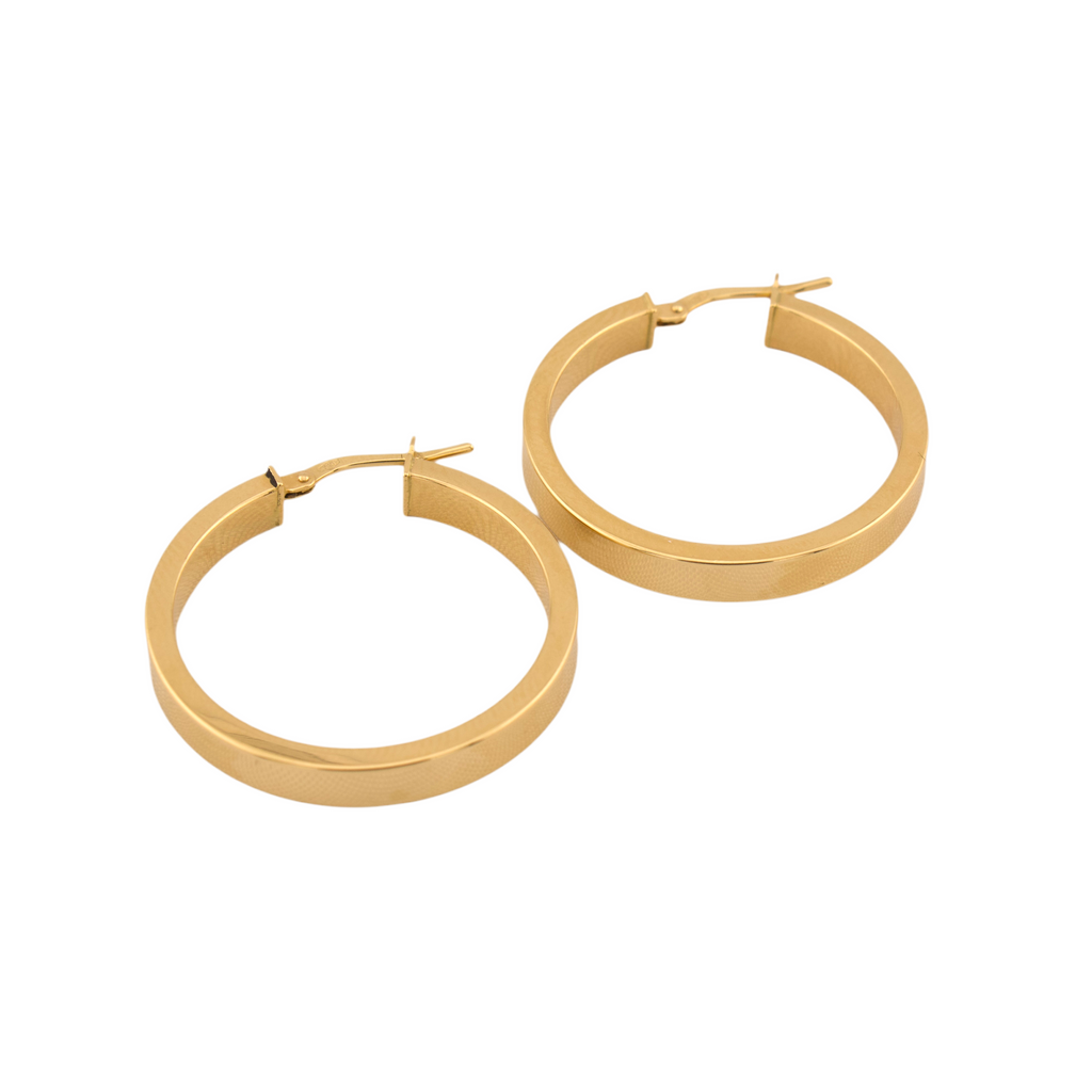 Fancy Hoop Earrings