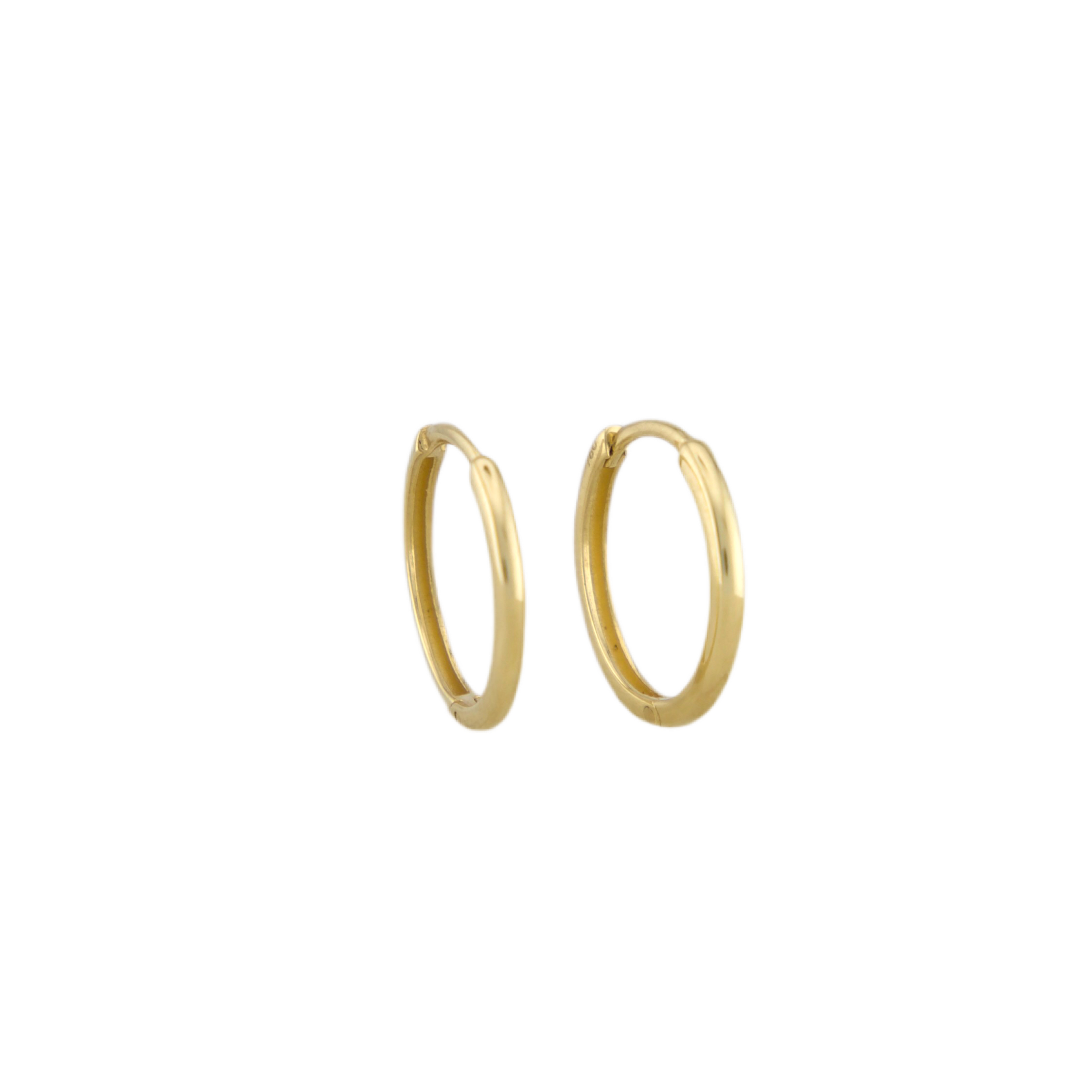 Nose Hoops
