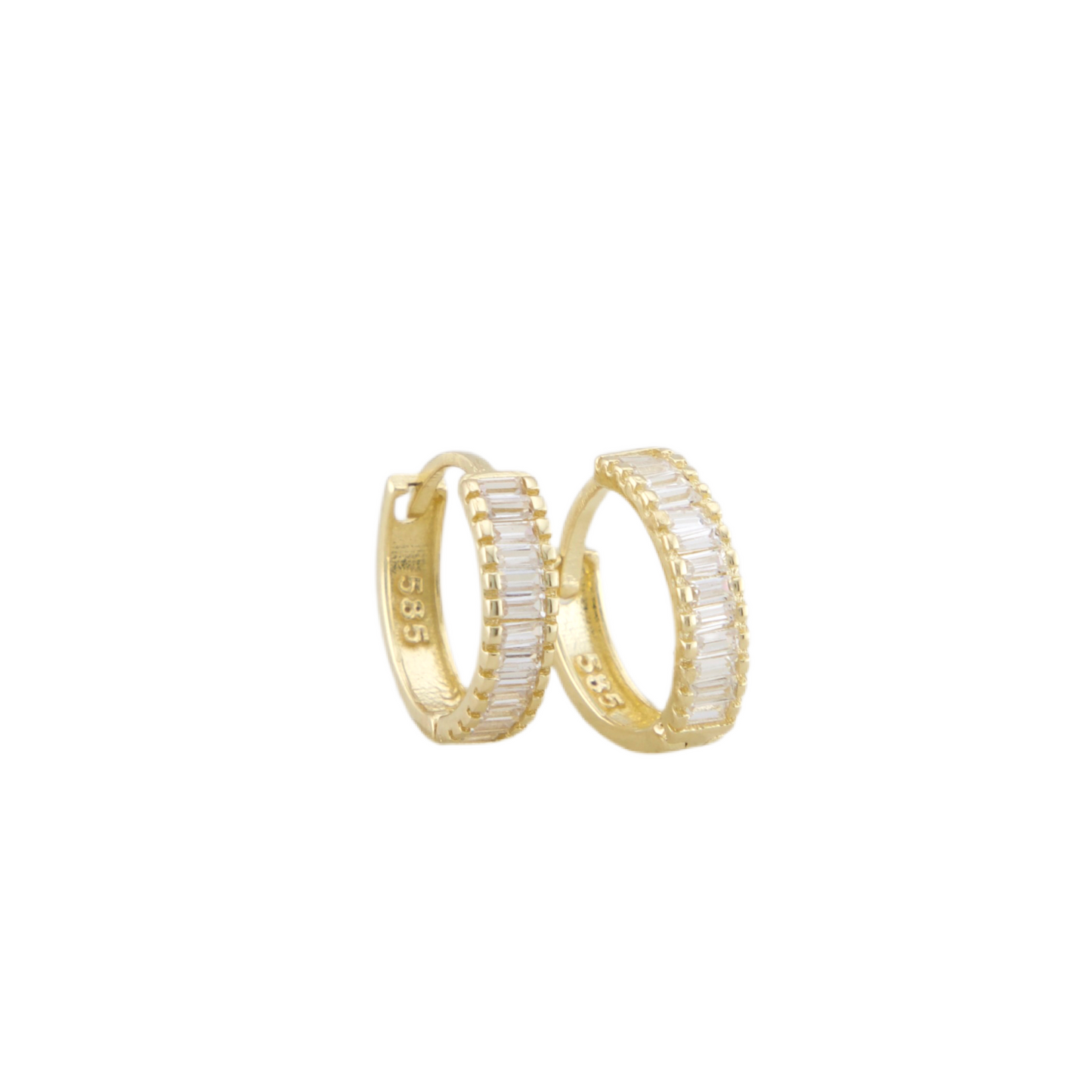 Fancy Hoops Earrings